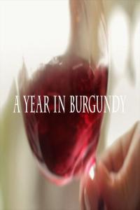 A Year in Burgundy 1080p x265 AAC MVGroup org mkv