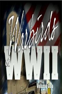 Warbirds of WW2 Volume 1 x264 AAC MVGroup org mkv