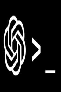 Prompt Engineering Master Speaking To AI