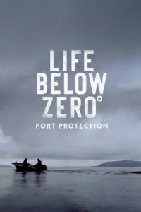 Port Protection S07 COMPLETE 720p AMZN WEBRip x264 GalaxyTV
