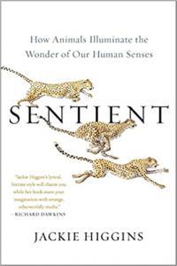 Sentient How Animals Illuminate the Wonder of Our Human Senses by Jackie Higgins EPUB