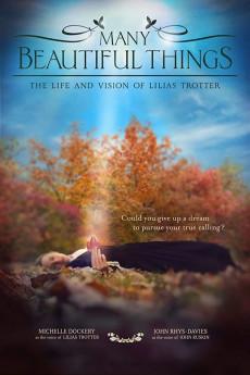 Many Beautiful Things 2015 720p web YTS