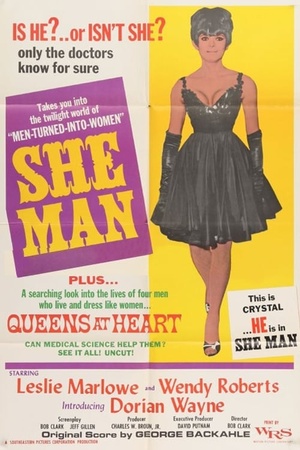 She-Man: A Story of Fixation 1967 1080p web YTS