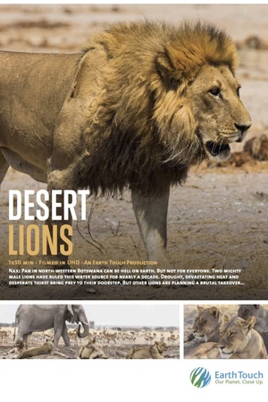 Desert Lions 2017 1080p web YTS