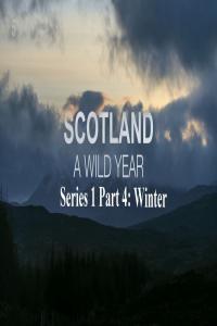Scotland A Wild Year Series 1 Part 4 Winter 1080p HDTV x264 AAC MVGroup org mp4