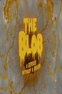 BBC The Blob A Genius without a Brain 1080p HDTV x265 AAC MVGroup org mkv