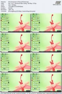 Become Pro in Microsoft Word From Beginner to Advanced FreeCourseWeb