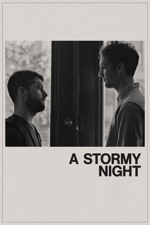 A Stormy Night 2020 1080p web YTS