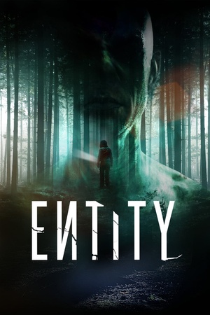 Entity 2012 1080p web YTS
