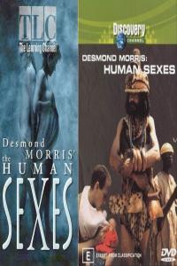 DC The Human Sexes 3of6 Patterns Of Love x264 AC3 MVGroup org mkv