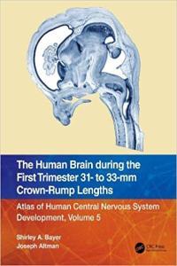 The Human Brain during the First Trimester 31 to 33 mm Crown Rump Lengths Atlas of Human Central