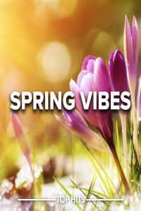 V A Spring Vibes 2023 2023 Pop Flac 16 44
