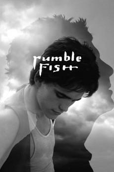 Rumble Fish 1983 720p bluray YTS