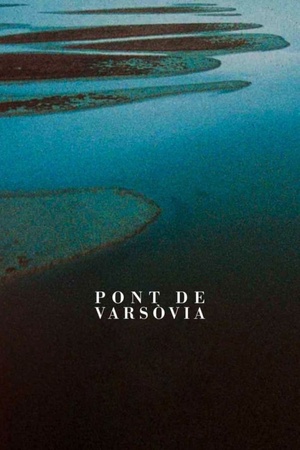 Warsaw Bridge 1990 1080p web YTS