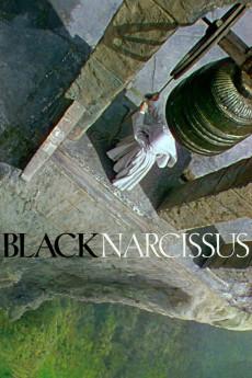 Black Narcissus 1947 720p bluray YTS