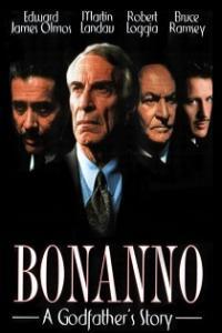 Bonanno A Godfather s Story 1999 Mini Series Complete TVRip x264 i c