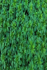 100 Beautiful Ultra HD 4K Wallpapers Pack 85