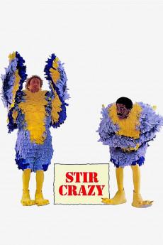 Stir Crazy 1980 720p web YTS