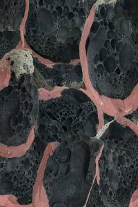 Eric Chenaux Say Laura 2022 24Bit 88 2kHz FLAC PMEDIA