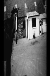 BBC Legends of Welsh Sport Nortons Coin 1080p HDTV x265 AAC MVGroup org mkv