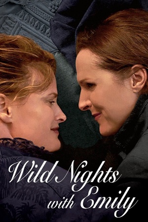 Wild Nights with Emily 2018 1080p web YTS