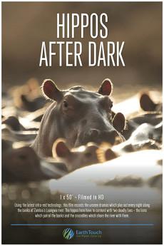 Hippos After Dark 2015 720p web YTS