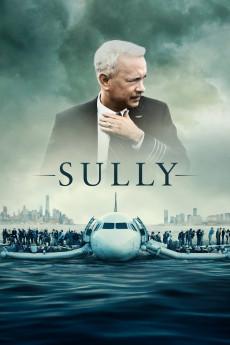 Sully 2016 2160p bluray YTS