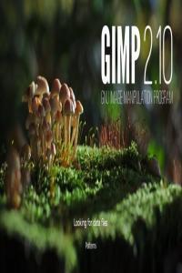 GIMP Image Editor Pro v2 10 22 haxNode
