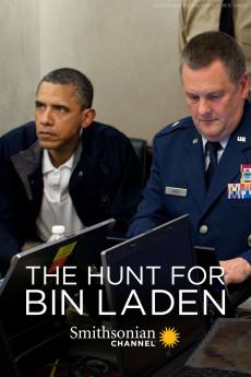 The Hunt for Bin Laden 2012 720p web YTS