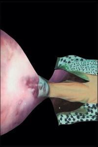 Painted Shield Painted Shield 2 2022 Mp3 320kbps PMEDIA