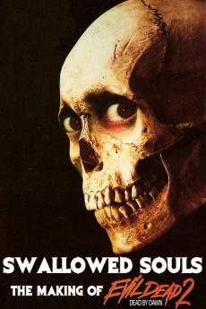 Swallowed Souls: The Making of Evil Dead II 2011 720p bluray YTS