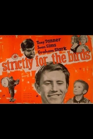 Strictly for the Birds 1964 1080p web YTS