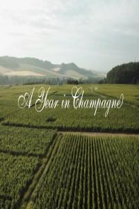 A Year in Champagne 1080p x265 AAC MVGroup org mkv