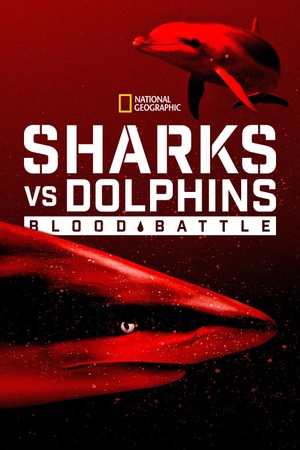 Sharks vs. Dolphins: Blood Battle 2020 1080p web YTS