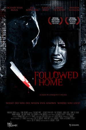 Followed Home 2010 1080p bluray YTS