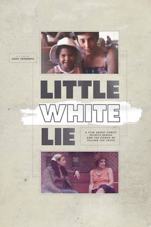 Little White Lie 2014 1080p web YTS