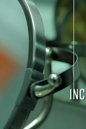 Incógnito 2012 1080p web YTS