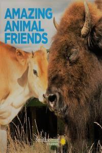 Amazing Animal Friends Series 1 Part 2 A Friend in Need 1080p HDTV x264 AAC MVGroup org mp4