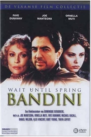 Wait Until Spring, Bandini 1989 1080p web YTS