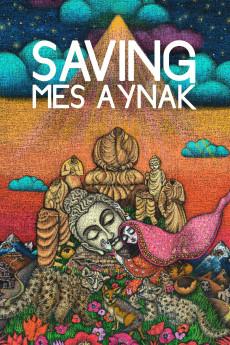 Saving Mes Aynak 2014 720p web YTS