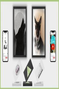 Udemy Visual Design for Beginners using Canva Pro