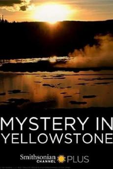 Mystery in Yellowstone 2015 720p web YTS