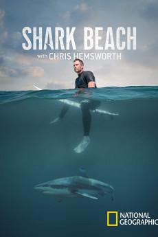 Shark Beach with Chris Hemsworth 2021 720p web YTS