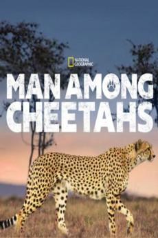 Man Among Cheetahs 2017 720p web YTS