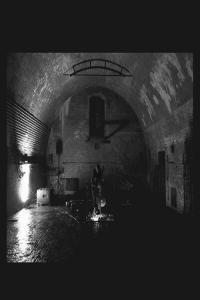 ambient classical experimental 2022 Svarte Greiner Devolving Trust FLAC DarkAngie