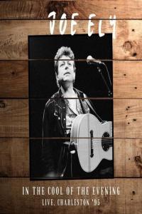 Joe Ely In The Cool Of The Evening Live Charleston 95 2022 Mp3 320kbps PMEDIA
