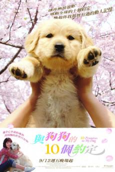 10 Promises to My Dog 2008 720p web YTS