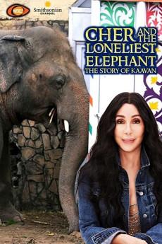 Cher and the Loneliest Elephant 2021 720p web YTS