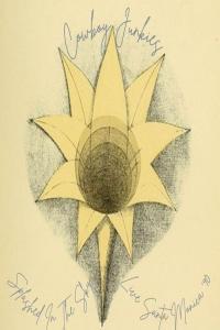 Cowboy Junkies Splashed In The Sky Live Santa Monica 90 2022 Mp3 320kbps PMEDIA