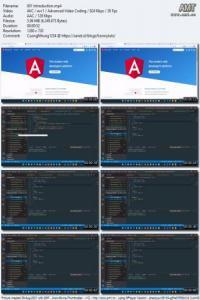 Udemy Learn Basic HTML CSS Javascript Typescript with Angular CourseWikia
